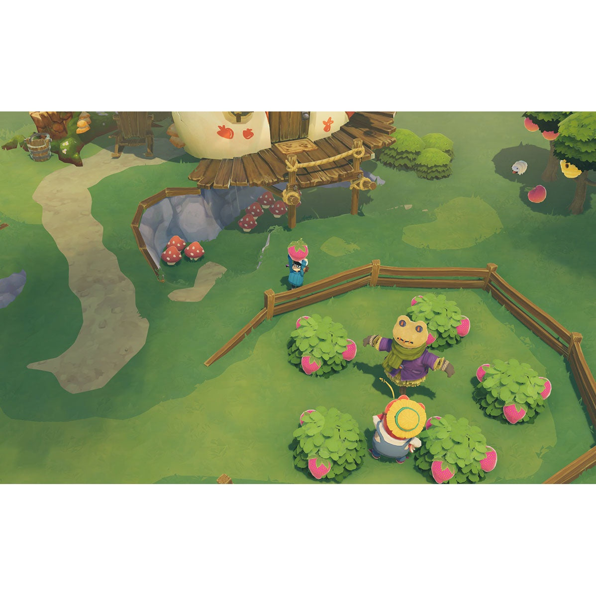 Time on Frog Island Xbox One / Xbox Series X (Disc)