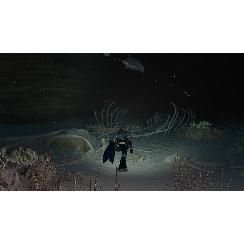 Endless Ocean Luminous for Nintendo Switch (Disc)