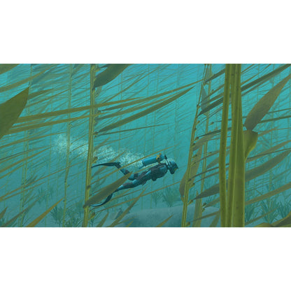 Endless Ocean Luminous for Nintendo Switch (Disc)