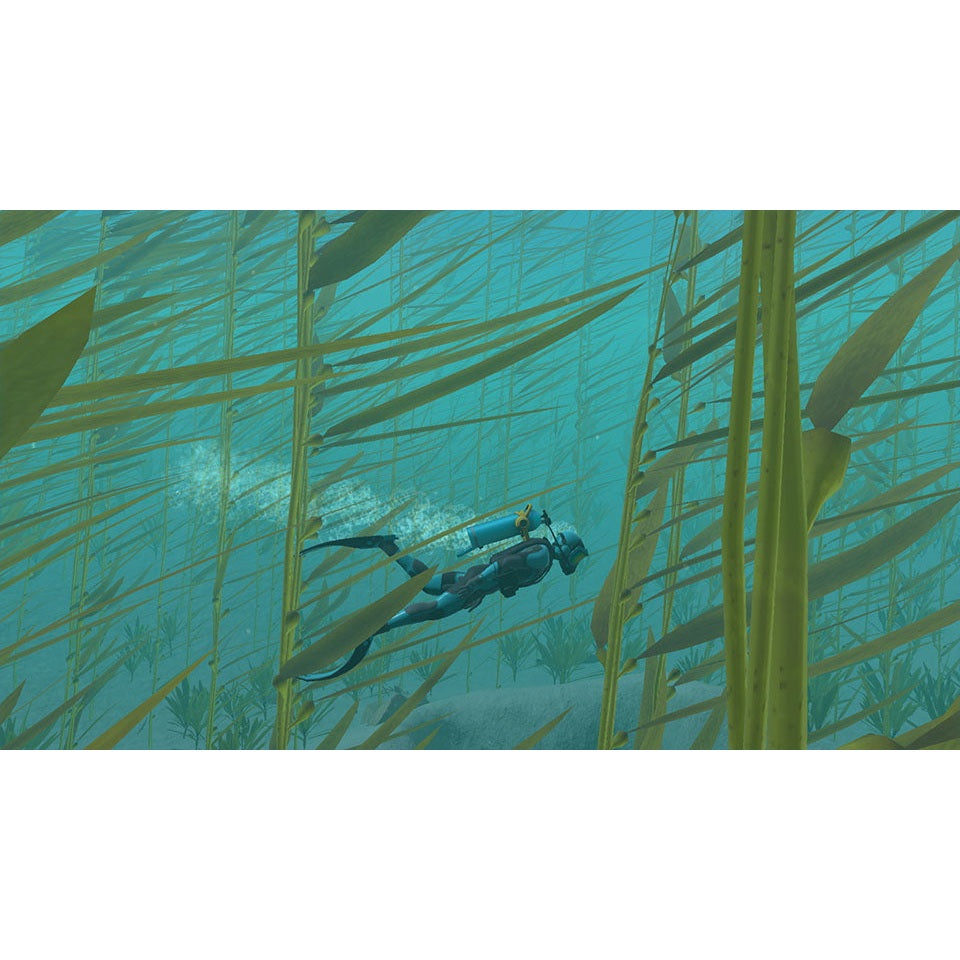 Endless Ocean Luminous for Nintendo Switch (Disc)