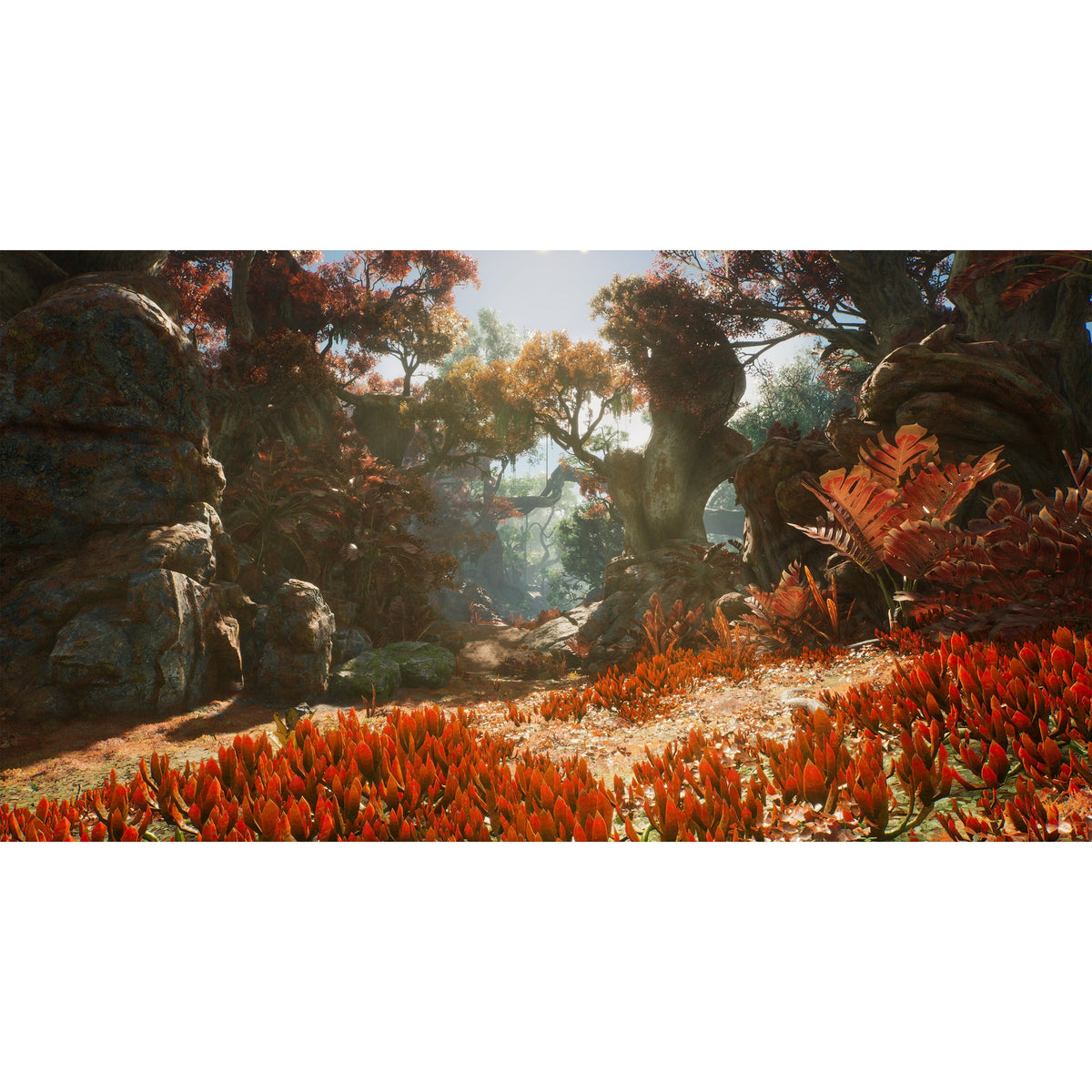 Outcast – A New Beginning for PlayStation 5 (Disc)