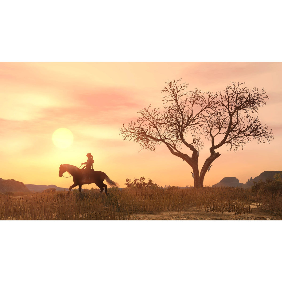 Red Dead Redemption for PlayStation 4 (Disc)
