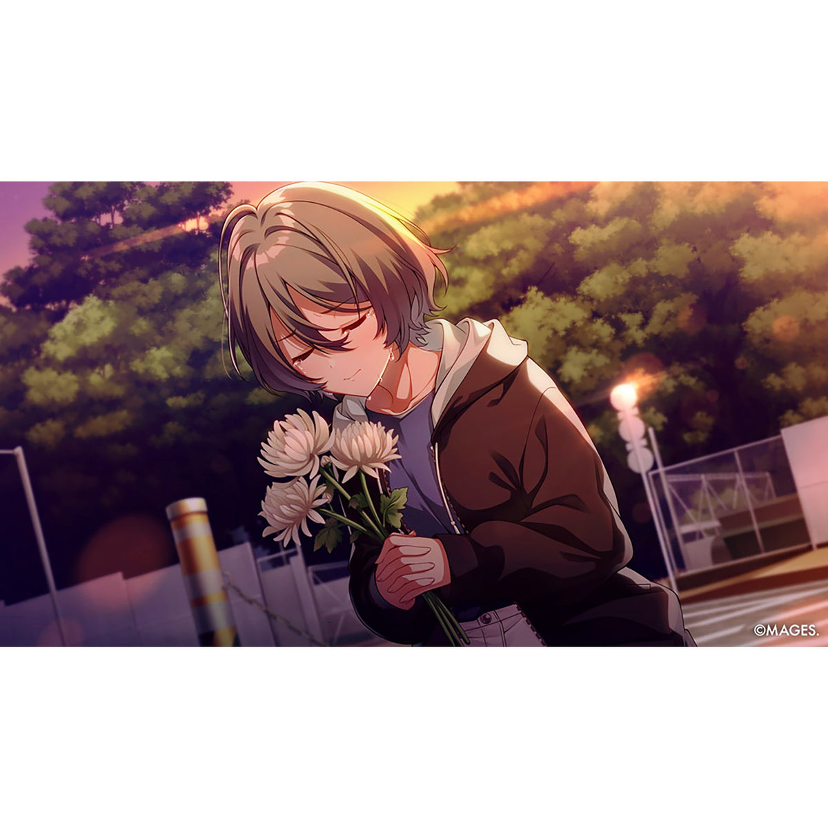 SINce Memories: Off the Starry Sky for Nintendo Switch (Disc)