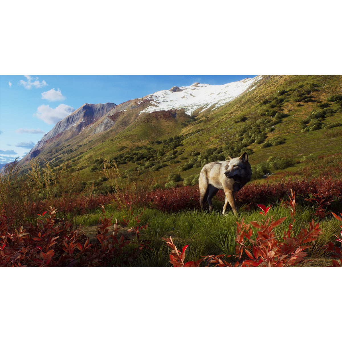 Way of the Hunter: Wild Expeditions – Xbox Series X (Disc)