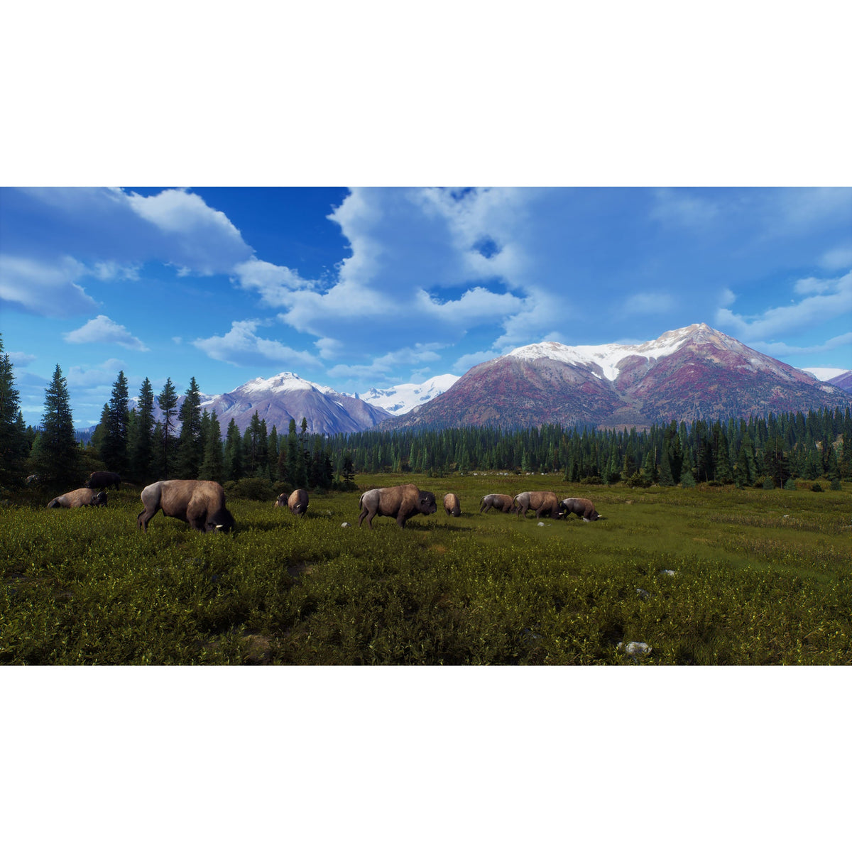 Way of the Hunter: Wild Expeditions – Xbox Series X (Disc)