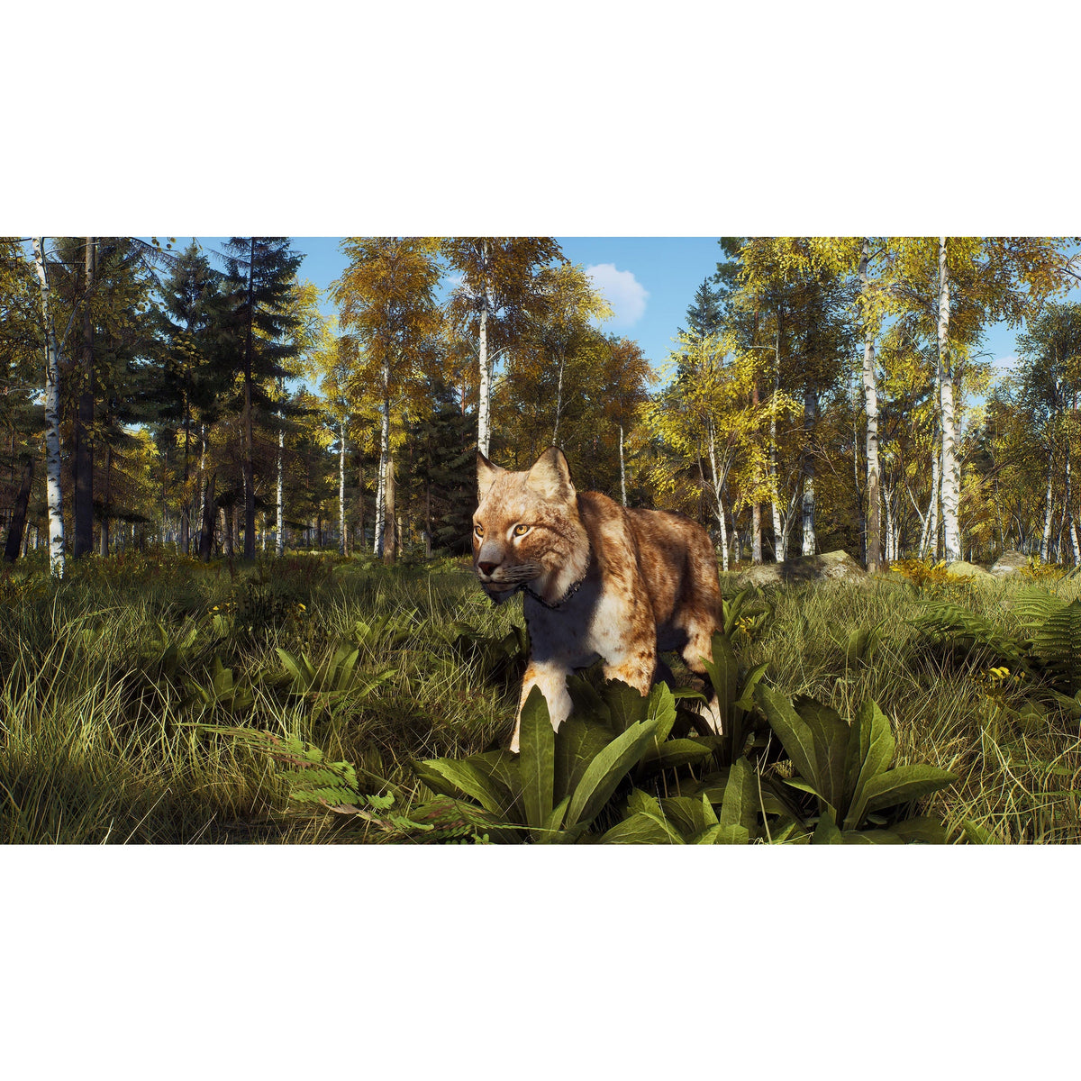 Way of the Hunter: Wild Expeditions – Xbox Series X (Disc)