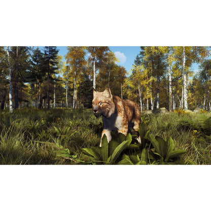 Way of the Hunter: Wild Expeditions – Xbox Series X (Disc)
