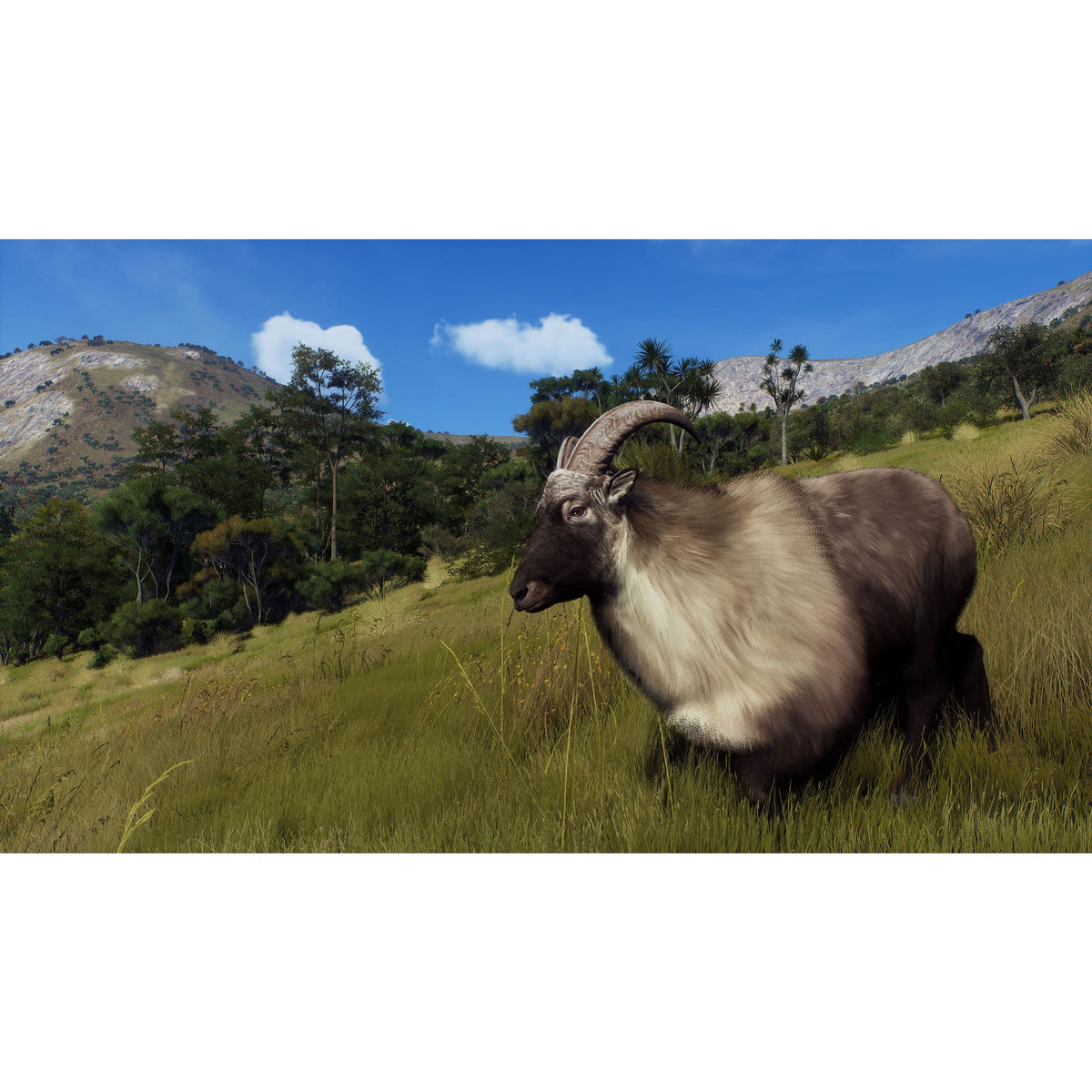 Way of the Hunter: Wild Expeditions – Xbox Series X (Disc)