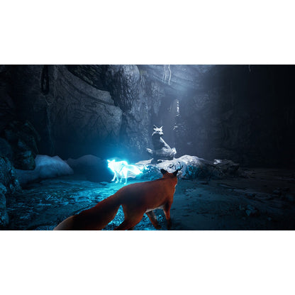 Spirit of the North for Nintendo Switch (Code in Box)