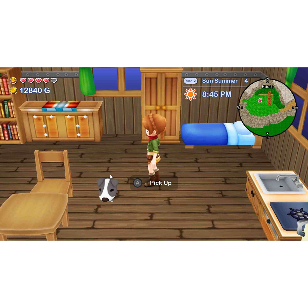 Harvest Moon: The Lost Valley & Skytree Village for Nintendo Switch (Disc)