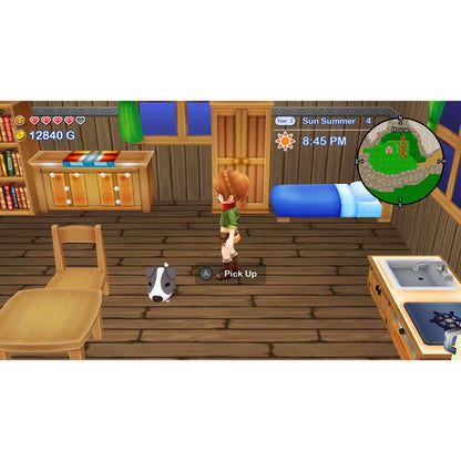 Harvest Moon: The Lost Valley & Skytree Village Collector's Edition – Nintendo Switch (Disc)