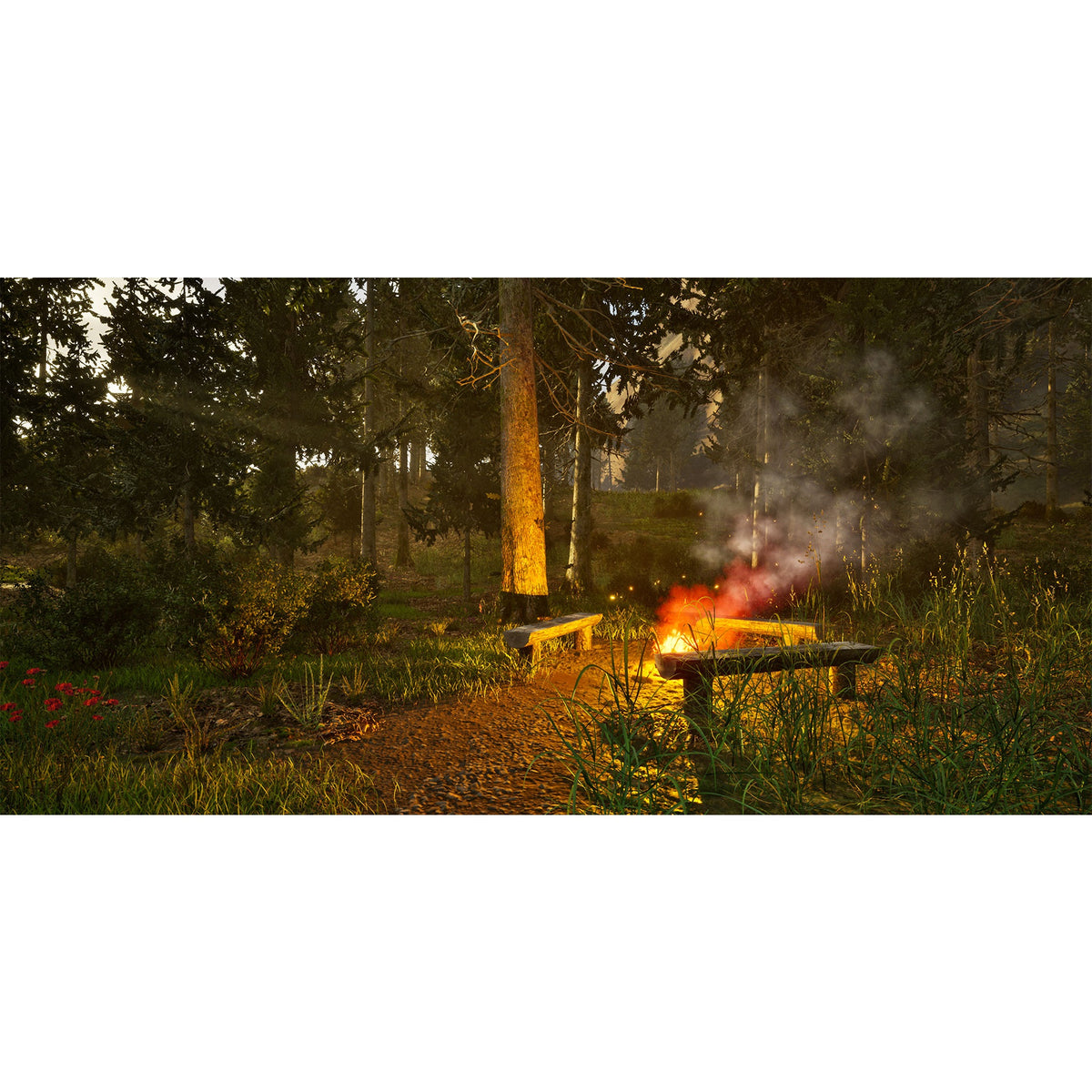 Park Ranger Simulator for PlayStation 5 (Disc)