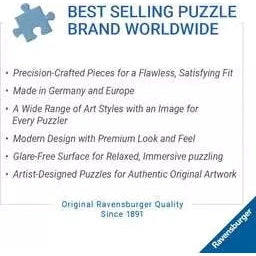 Ravensburger Dungeons & Dragons Quest Accepted 1000 Piece Jigsaw Puzzle