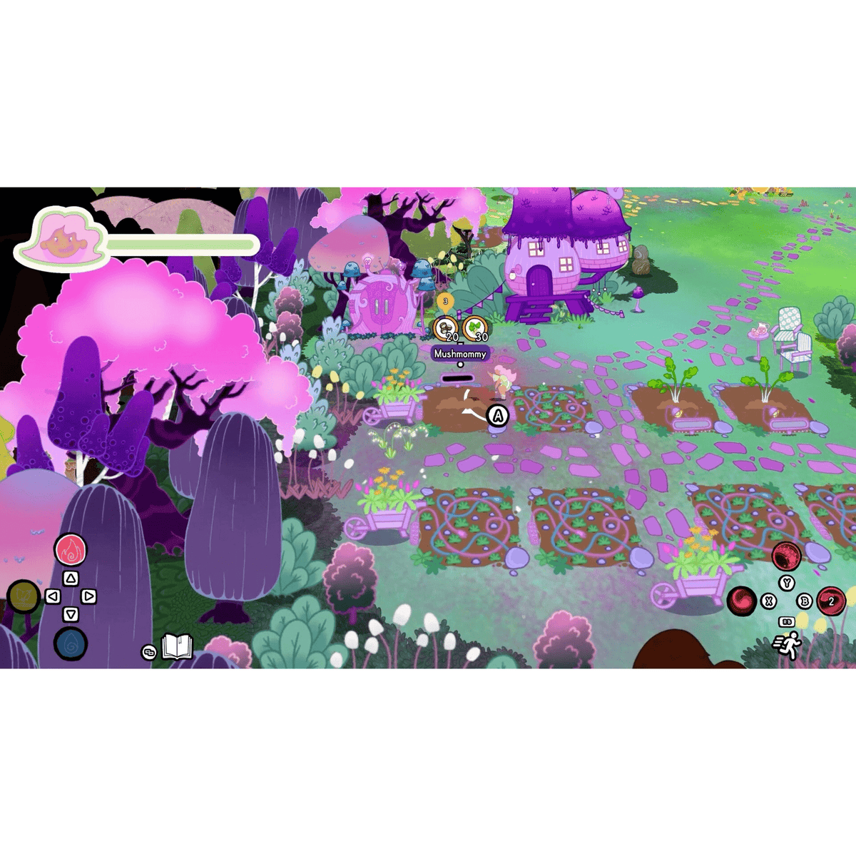 Grimoire Groves for Nintendo Switch (Disc)