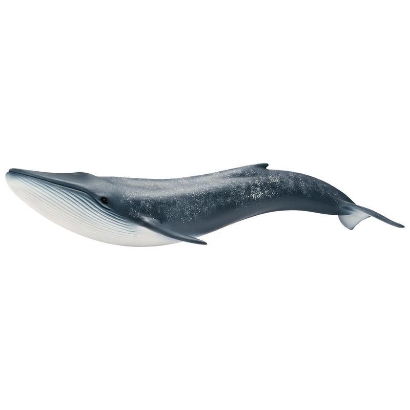 Schleich WILD LIFE Blue Whale Figurine