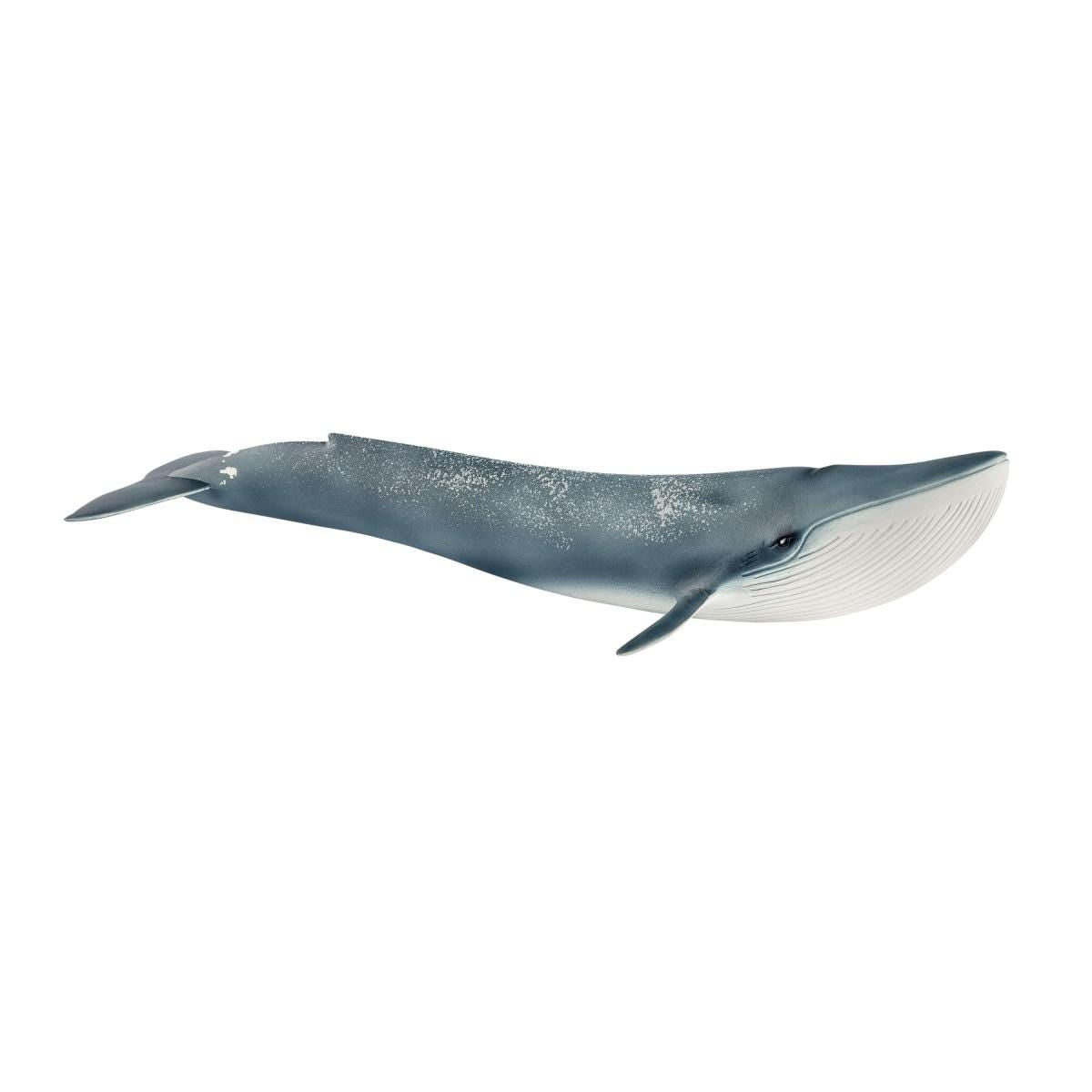 Schleich Wild Life Blue Whale Figure