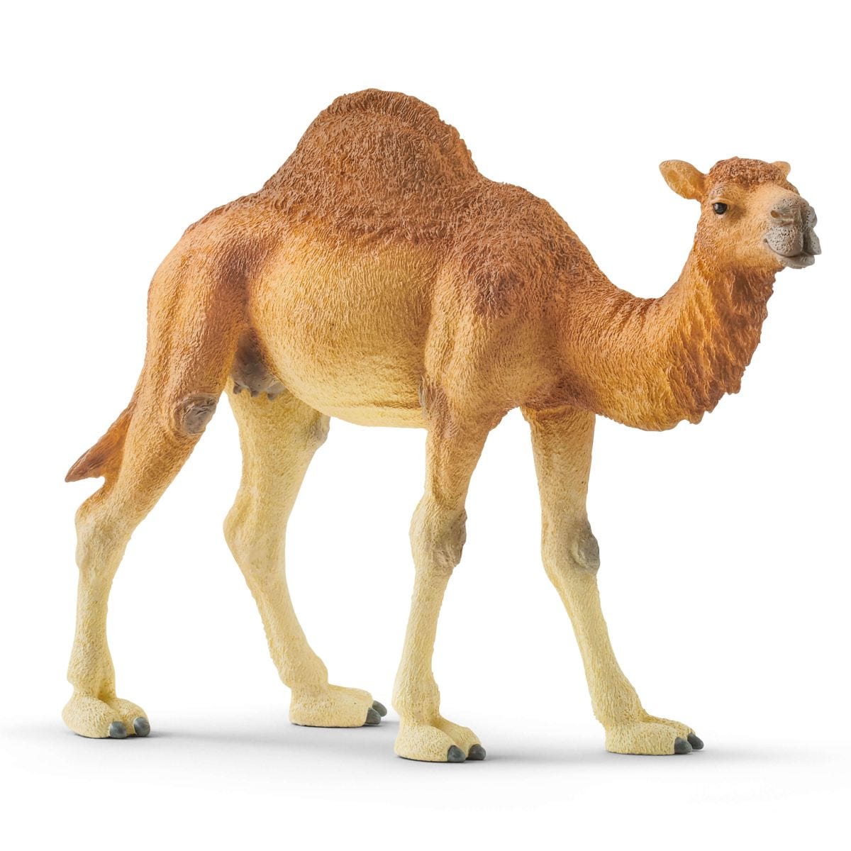 Schleich WILD LIFE Dromedary Animal Figure 14832
