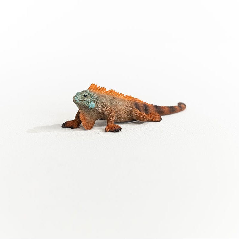 Schleich WILD LIFE Iguana Animal Figure
