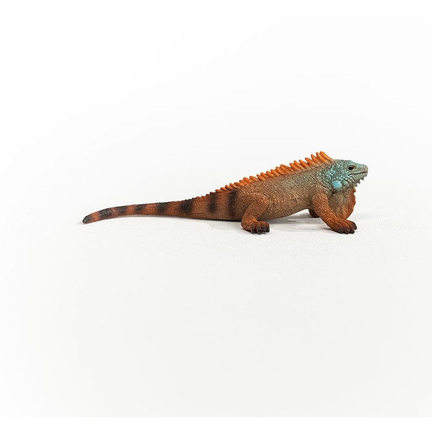 Schleich Wild Life Iguana Figure