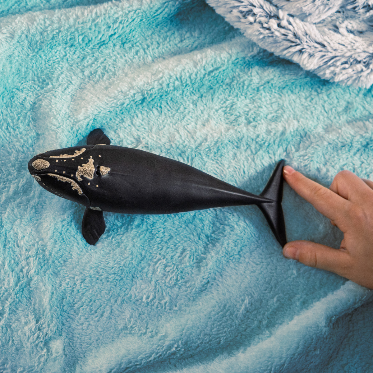 Schleich WILD LIFE North Atlantic Right Whale Figure 14878