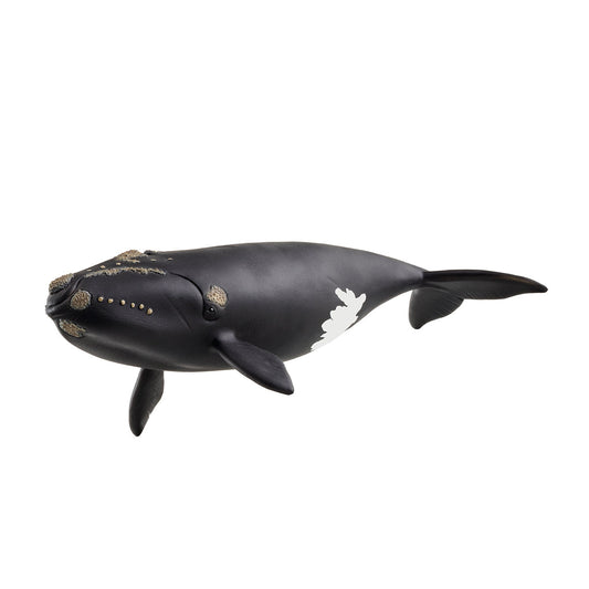 Schleich WILD LIFE North Atlantic Right Whale Figure 14878