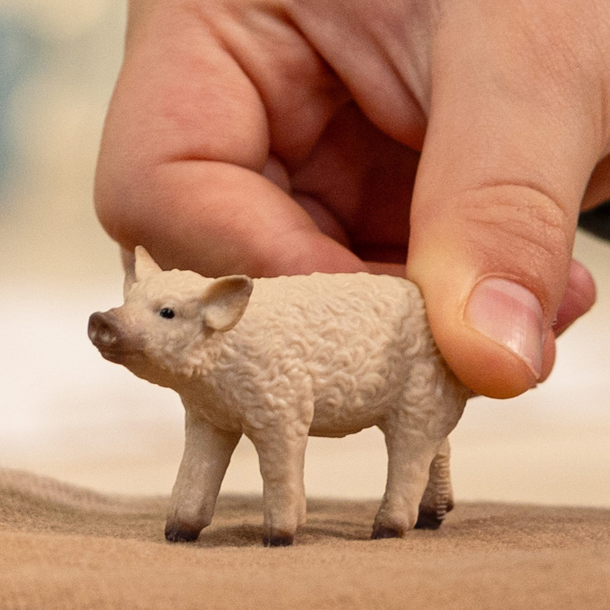 Schleich Farm World Mangalica Piglet Figure 14893