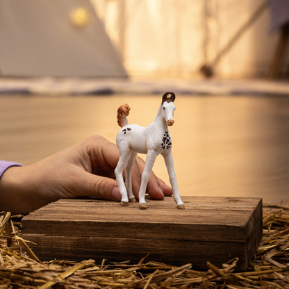 Schleich HORSE CLUB Marwari Foal Figure 14896