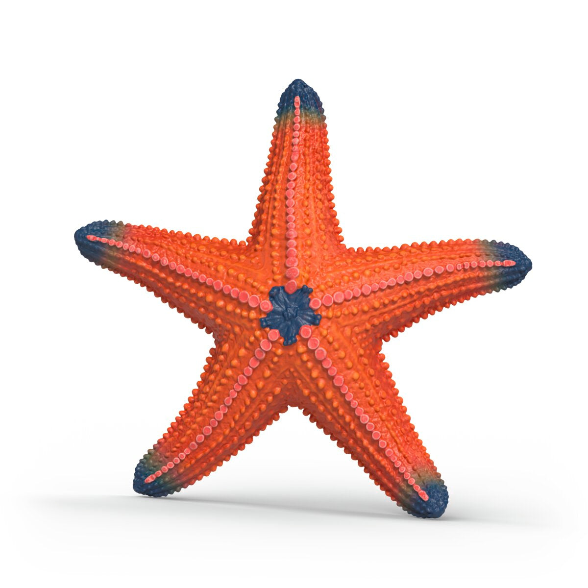 Schleich WILD LIFE Colour-Changing Starfish Figure 14902