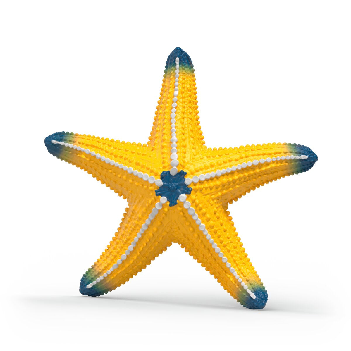 Schleich WILD LIFE Colour-Changing Starfish Figure 14902