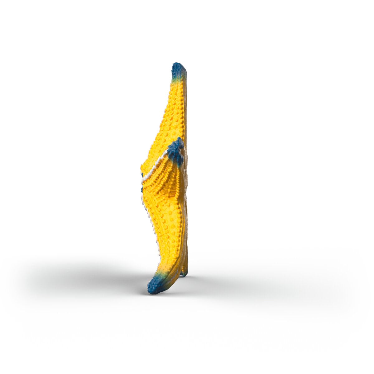 Schleich WILD LIFE Colour-Changing Starfish Figure 14902