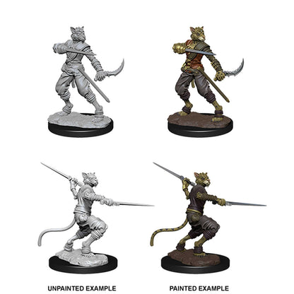 D&D Nolzur's Marvelous Miniatures: Male Tabaxi Rogue