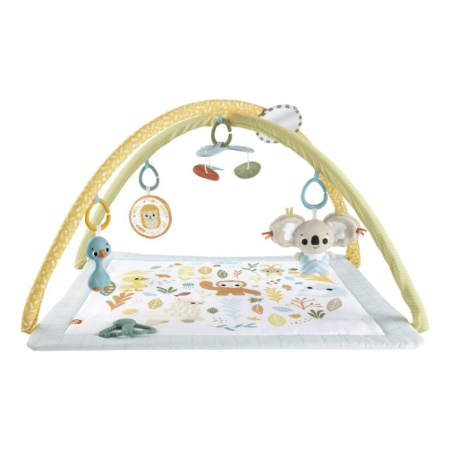 Fisher Price: Simply Senses Newborn Gym