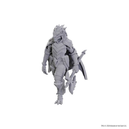 D&D Nolzur's Marvelous Miniatures: Dragonborn of Tiamat