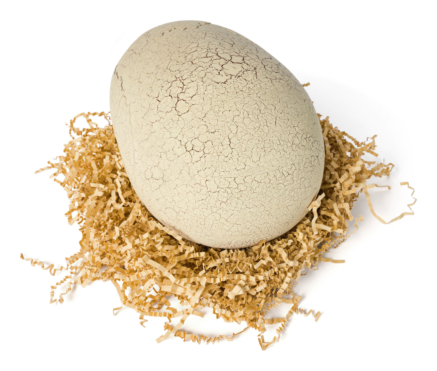 Jurassic World Primal Hatch Interactive Hatching T-Rex Dinosaur Egg