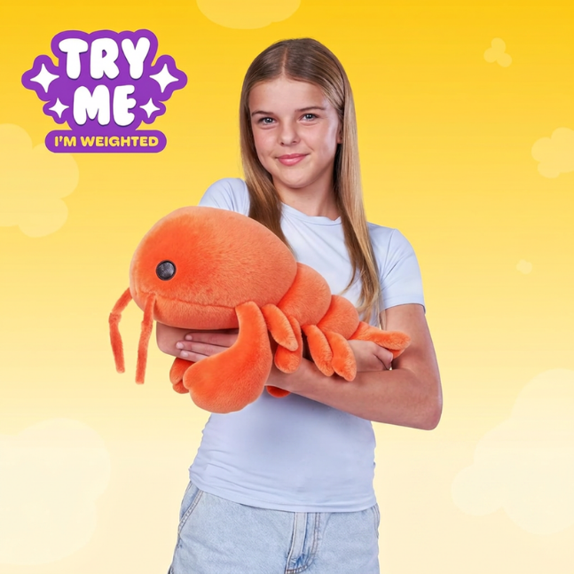 Hug A Lumps - Fuzzy Weighted Plush - Medium (1.3kg/2.8lbs) - Choose your Fuzzy Plush