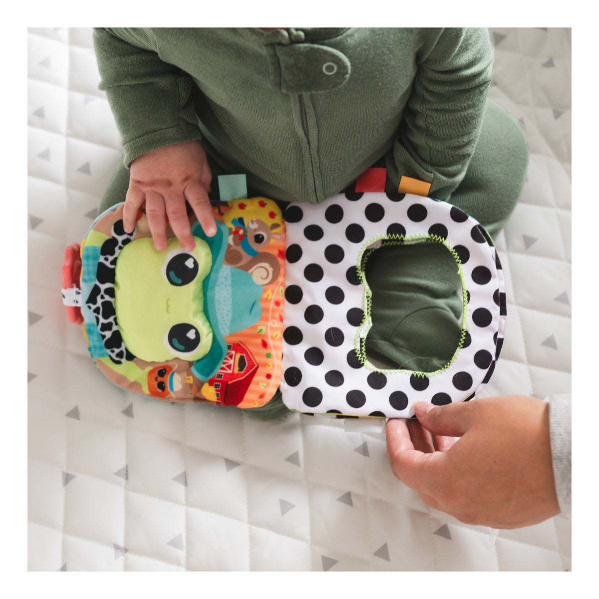 ** Lamaze Finlee The Frog Look Book