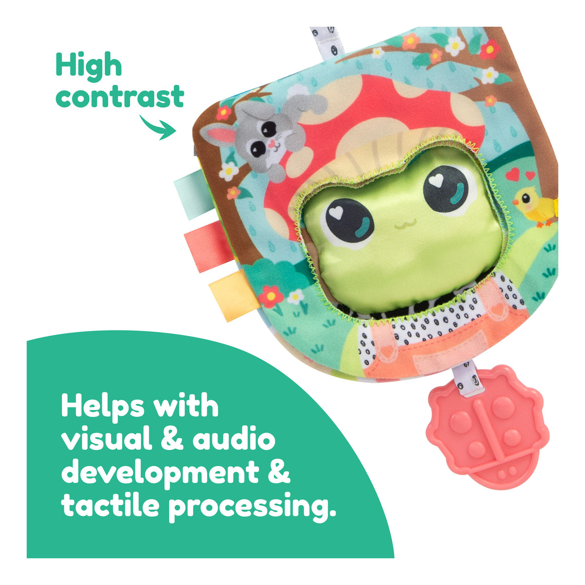 ** Lamaze Finlee The Frog Look Book