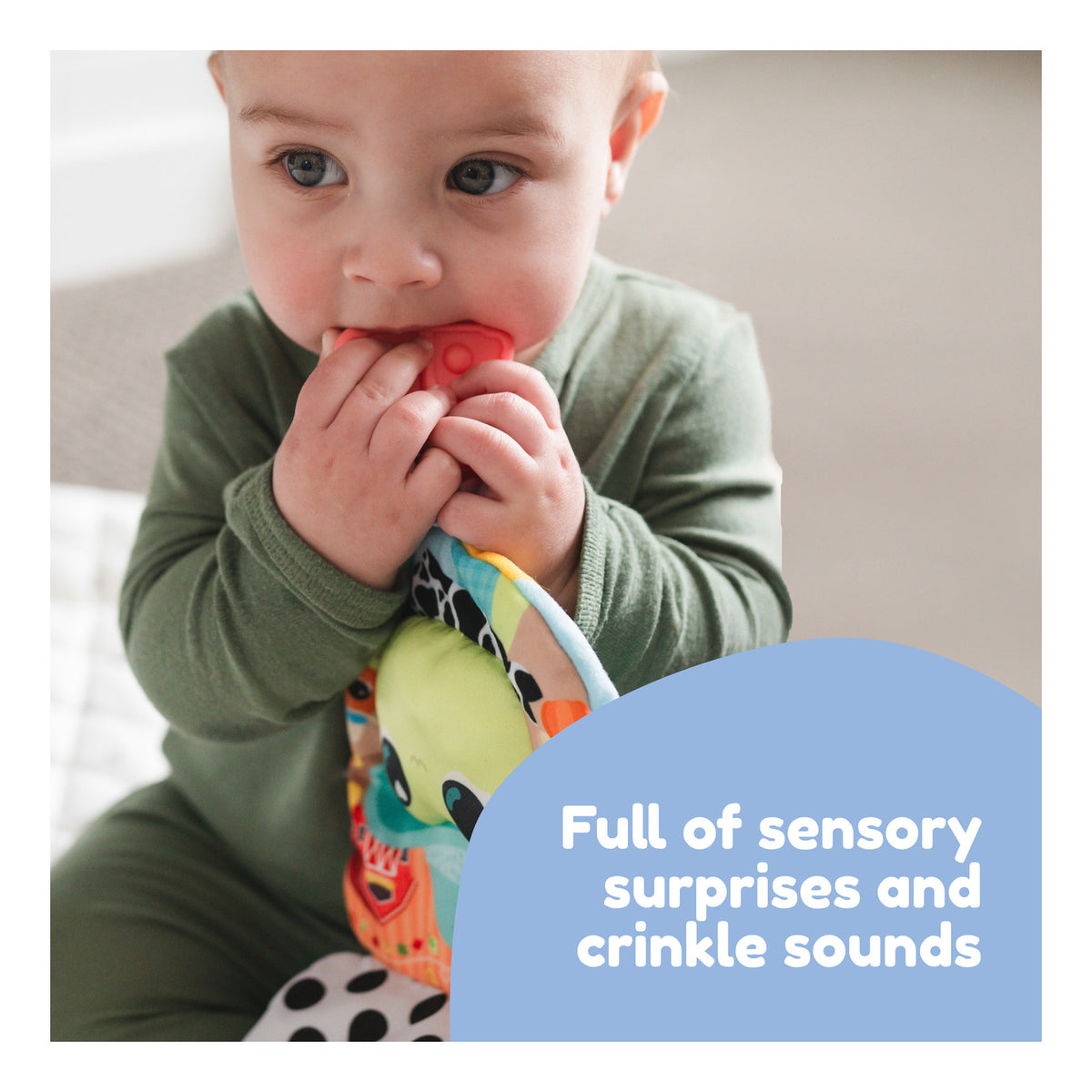 ** Lamaze Finlee The Frog Look Book