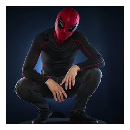 Hasbro Marvel Legends Spider-Man Electronic Expressive Mask