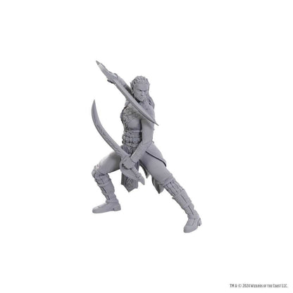 D&D Nolzur's Marvelous Unpainted Miniatures: Special Edition Baldur's Gate 3 – Jaheira & Halsin