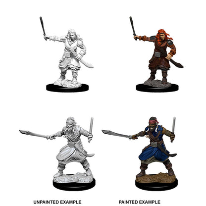 D&D Nolzur's Marvelous Miniatures: Bandits