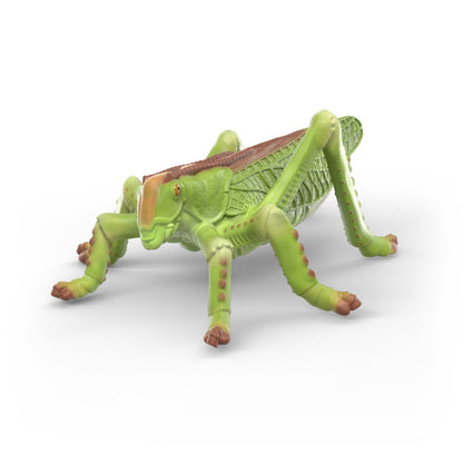 Schleich WILD LIFE Insects Discovery Set