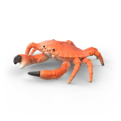 Schleich WILD LIFE Sea Animals Discovery Set