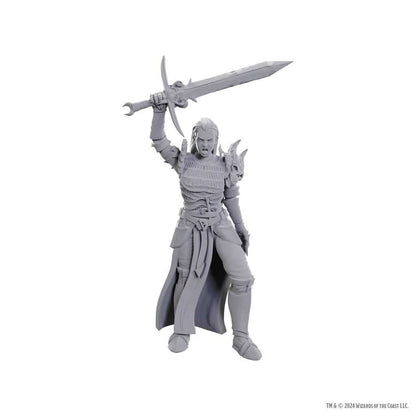 D&D Nolzur's Marvelous Unpainted Miniatures: Blackguard
