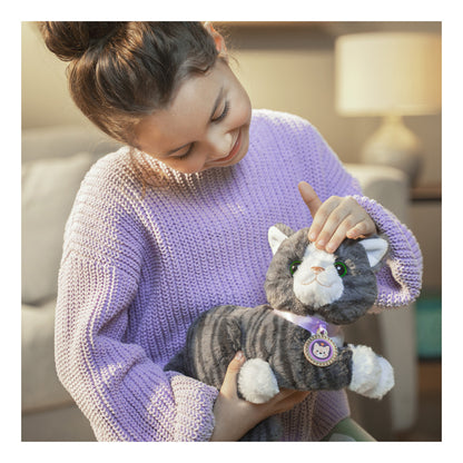 BABY born My Cat Cookie Interactive Kitten with Cat Bed