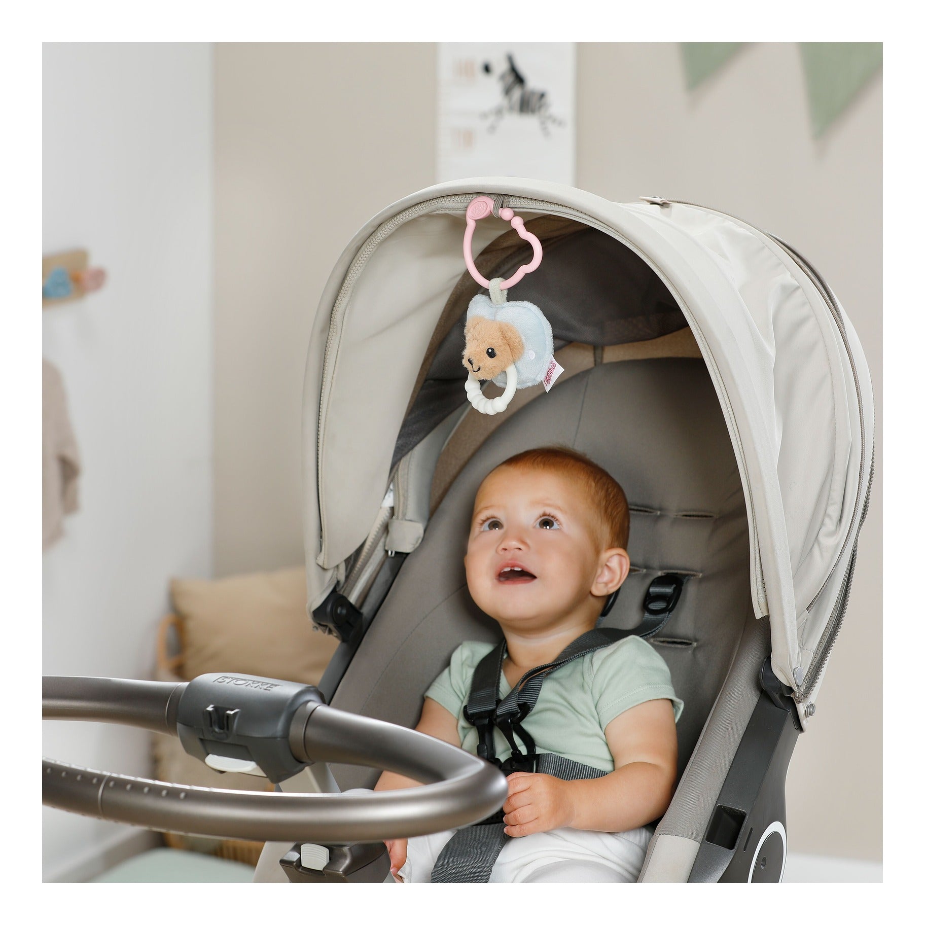 BABY born for babies Plush Dummy with Teething Ring
