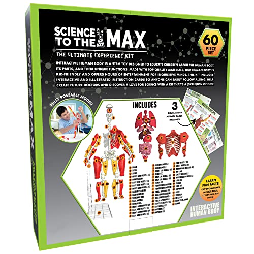 Science to the Max Interactive Human Body Model