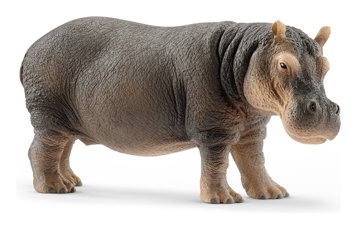 Schleich Wild Life Hippopotamus Animal Figurine