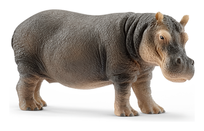 Schleich Wild Life Hippopotamus Animal Figurine