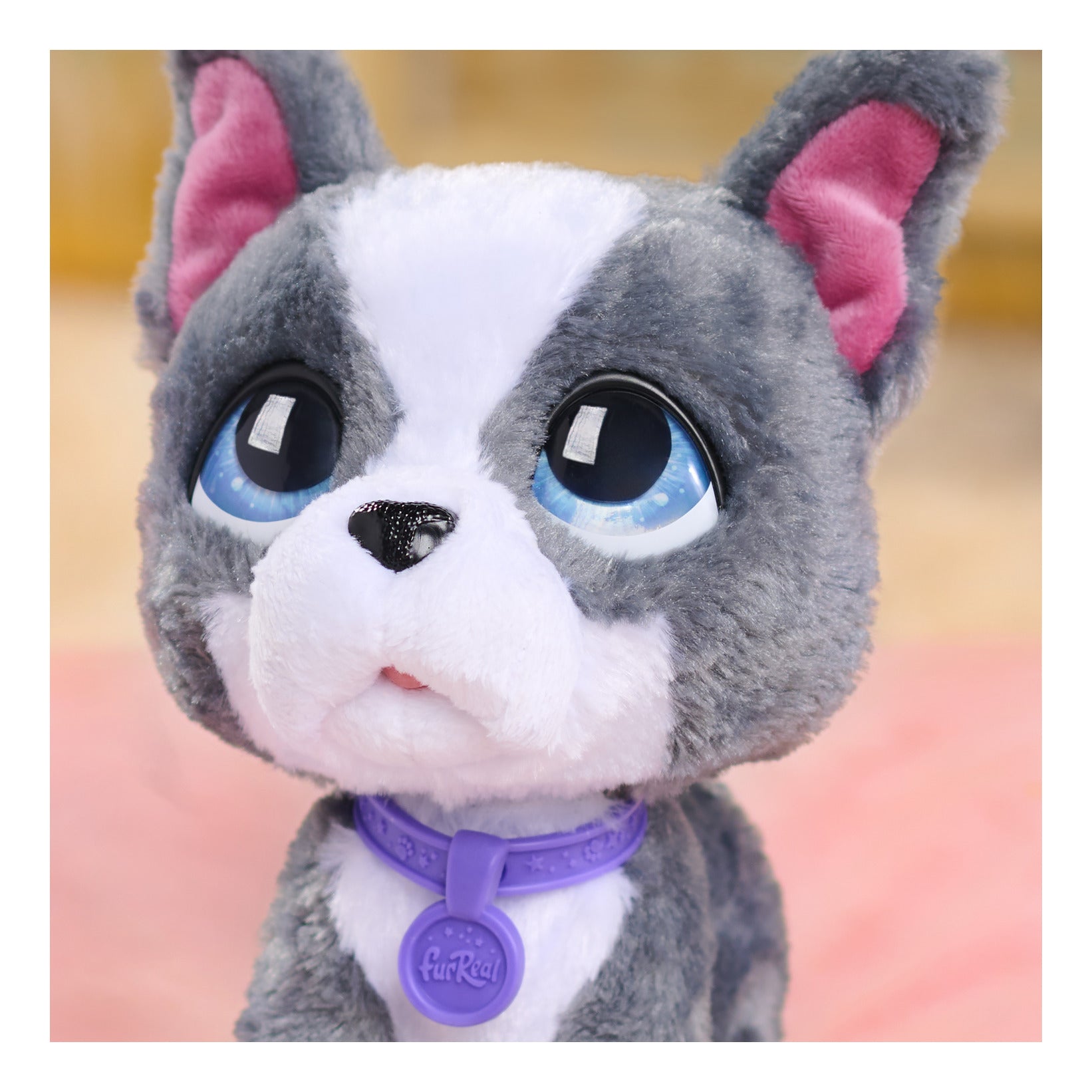 furReal Walk-A-Lots French Bulldog Interactive Toy Dog